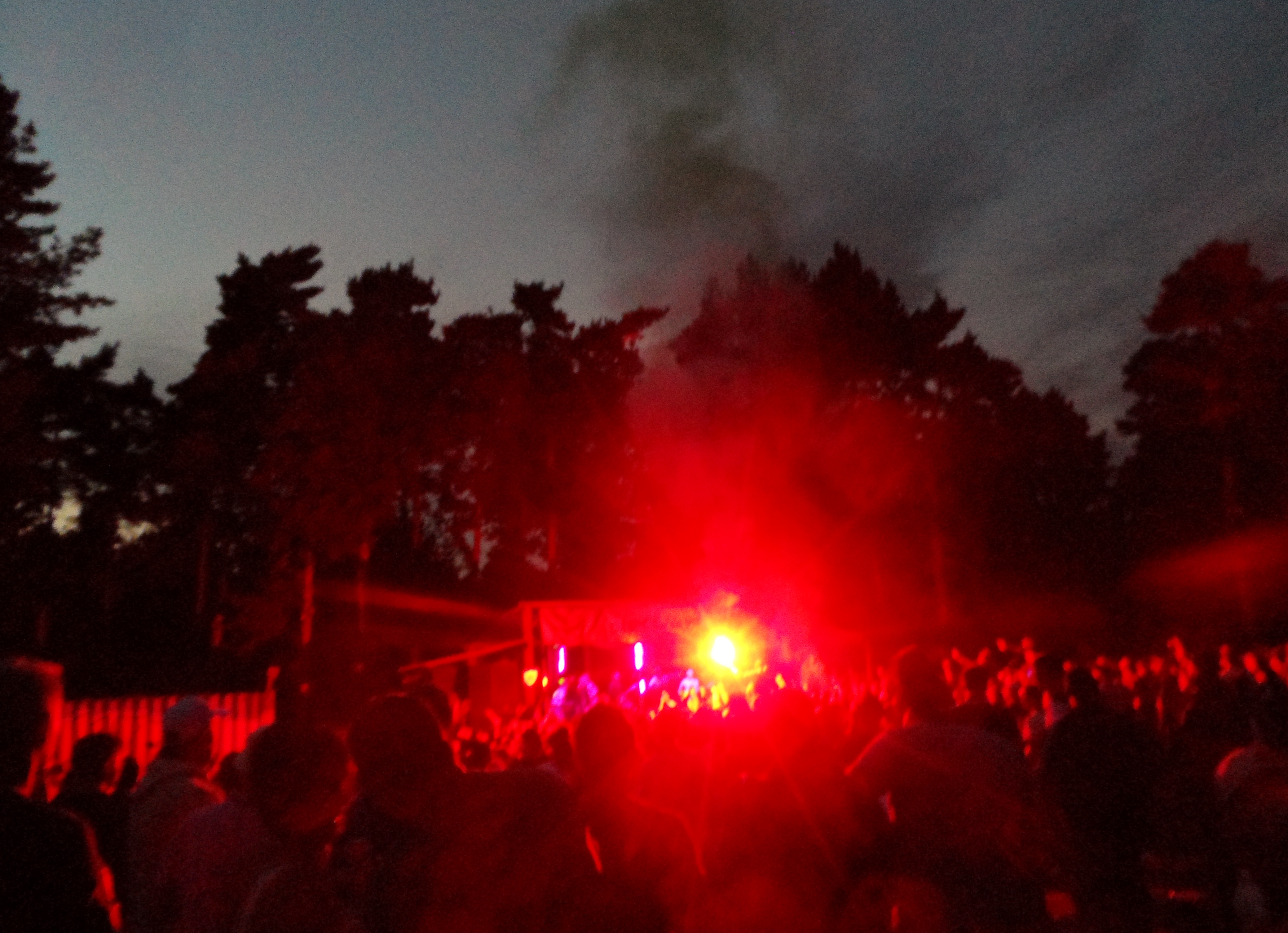 Review // Party In The Pines 2015 (Albums & Videos)