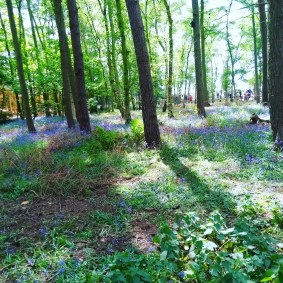 IMG_20170501_185238_464