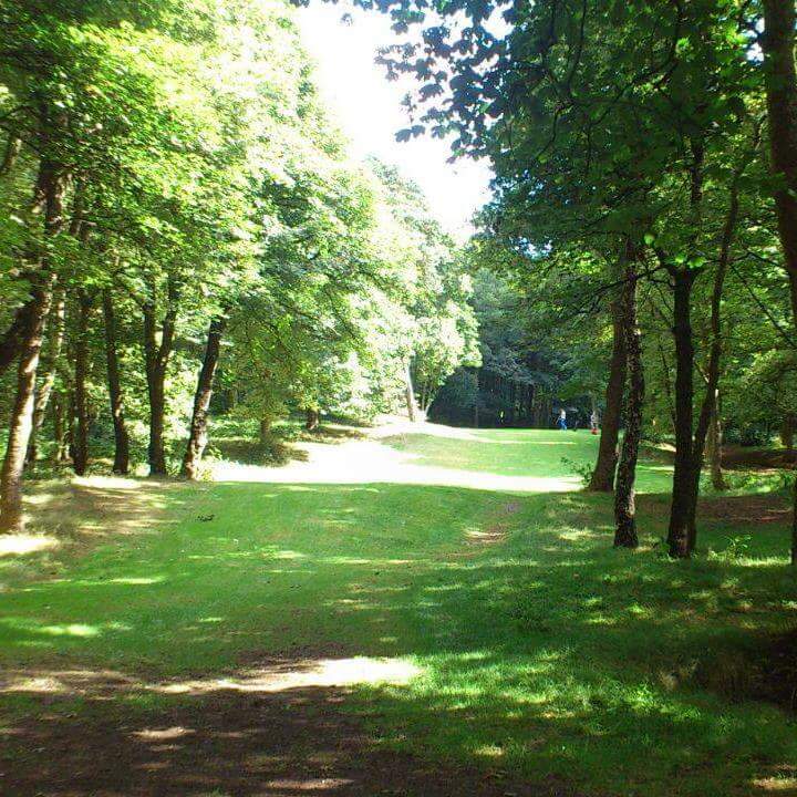 Kingsway Golf Course // Nature Reserve (Your&nbsp;Thoughts?)