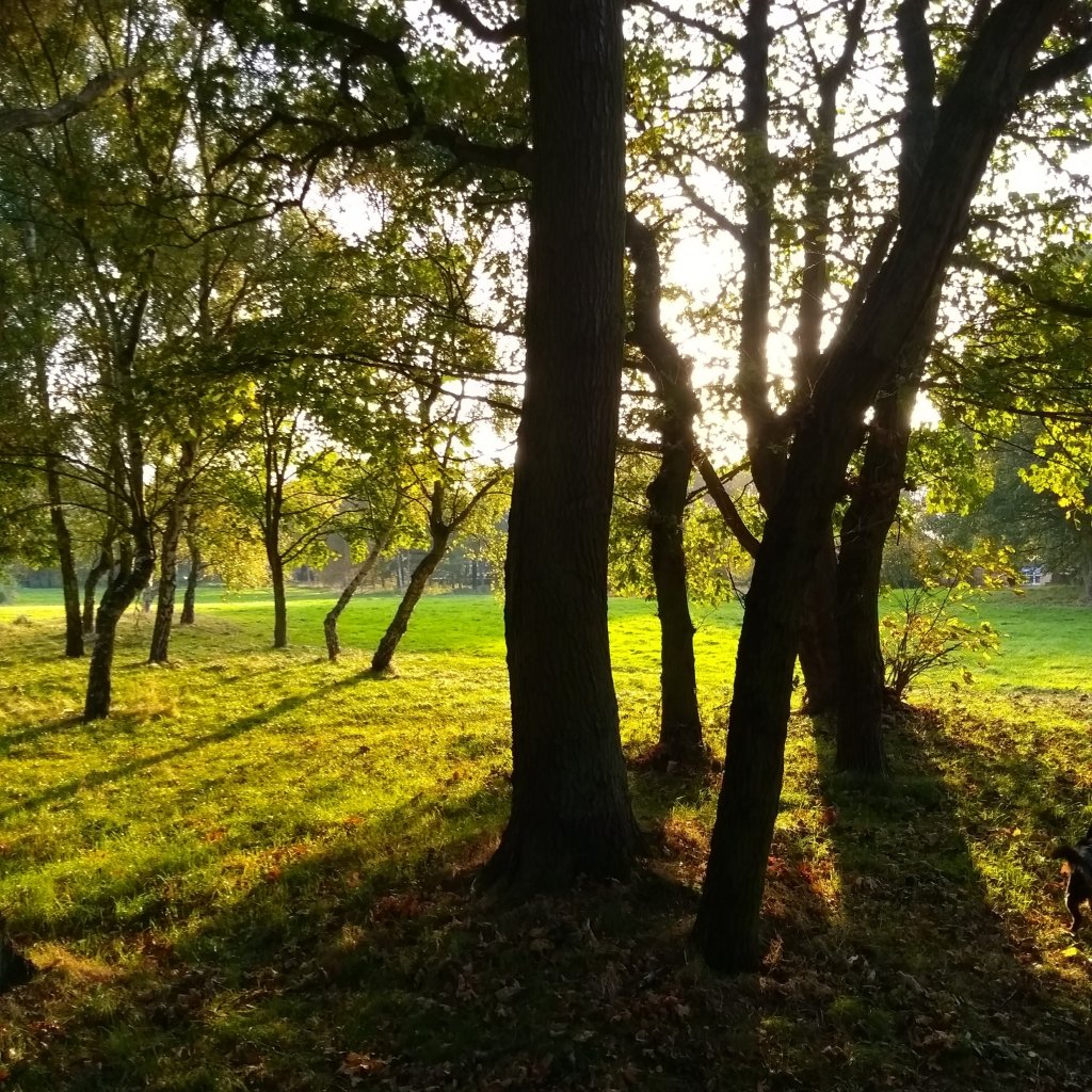 Adult Course // NCFE Level 1 Award in&nbsp;Photography