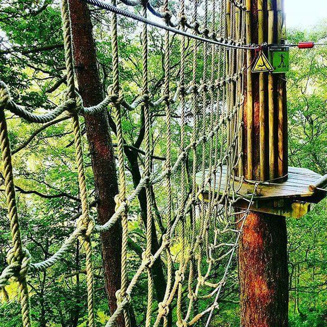 Book Now // New GO APE at Normanby&nbsp;Park