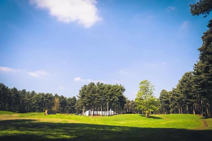 Venue News // Party In Pines&nbsp;License