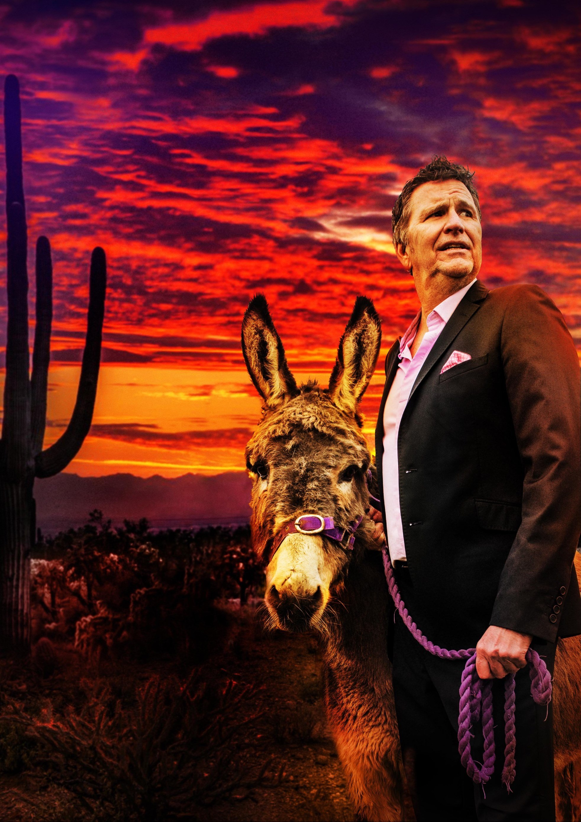 STEWART FRANCIS: INTO THE PUNSET  // BATHS HALL