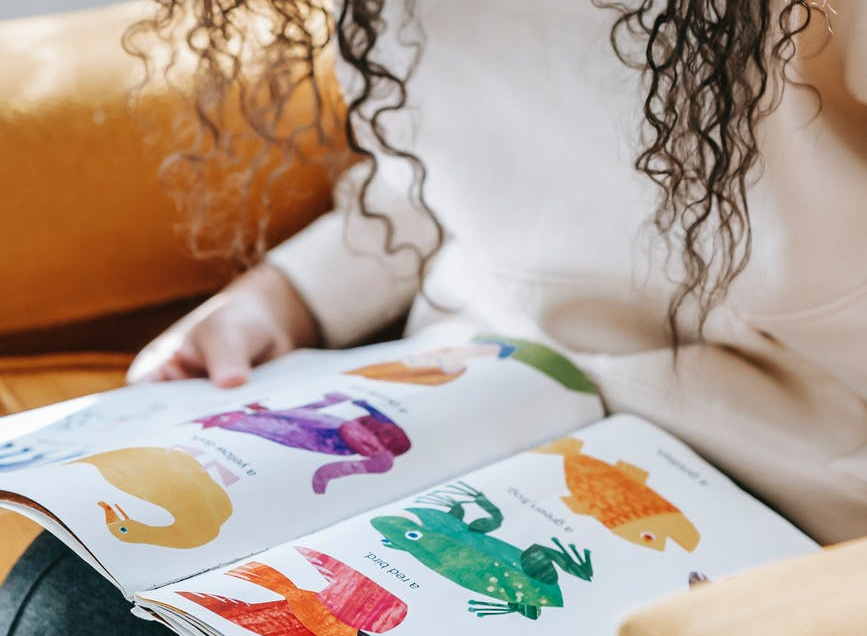 An image with peter rabbit and book cover of Shark in the Park, the text, Stories in the park