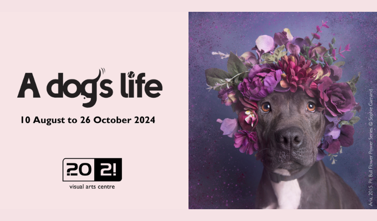 What’s On at 20:21 Visual Arts Centre? Fun day’s & Exhibitions