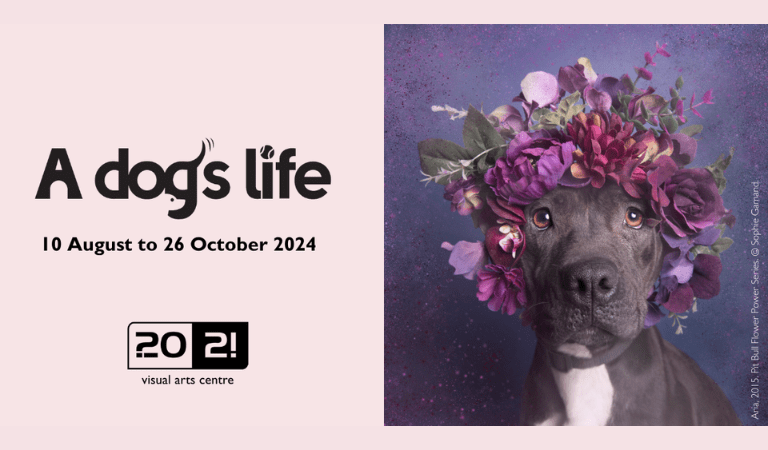 What’s On at 20:21 Visual Arts Centre? Fun day’s &&nbsp;Exhibitions