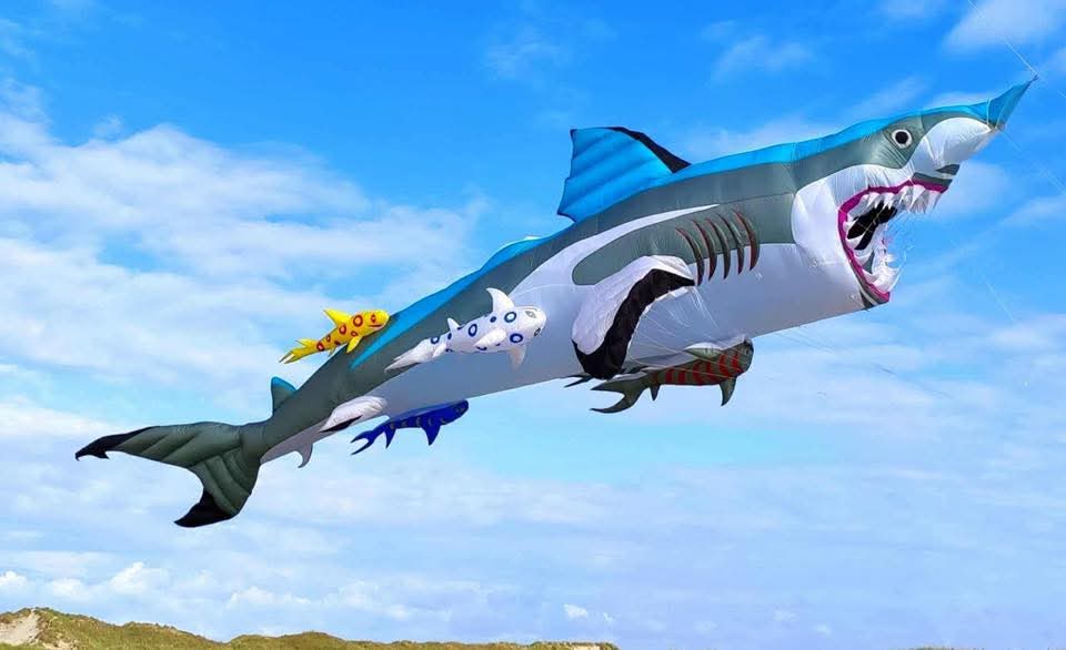 See some of the largest and colourful Kites on display this October&nbsp;#Winterton