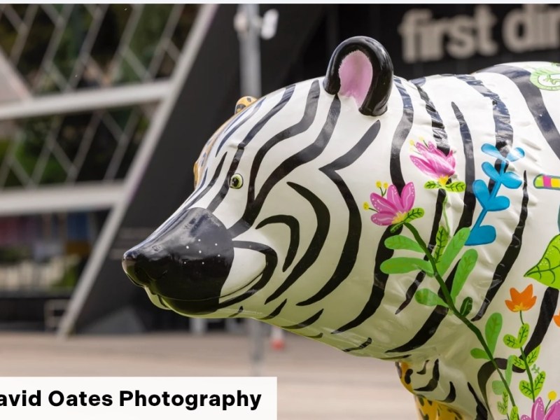 Scunthorpe! We’re Going on a Bear&nbsp;Hunt